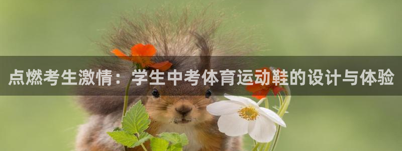 919体育在线直播官网：点燃考生激情：学生中考体育运动鞋的设计与体验