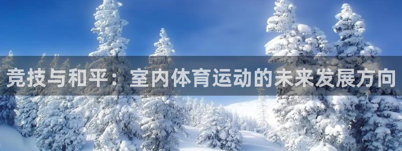 919体育赛事直播在线观看：竞技与和平：室内体育运动的未来发展方向