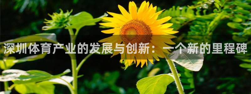 919体育直播平台亚洲杯：深圳体育产业的发展与创新：一个新的里程碑