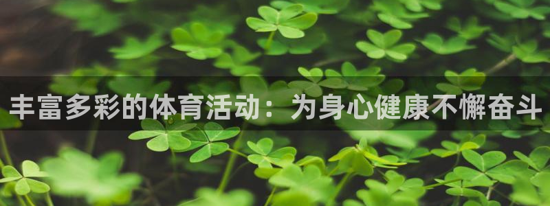 919体育赛事直播在线观看：丰富多彩的体育活动：为身心健康不懈奋斗