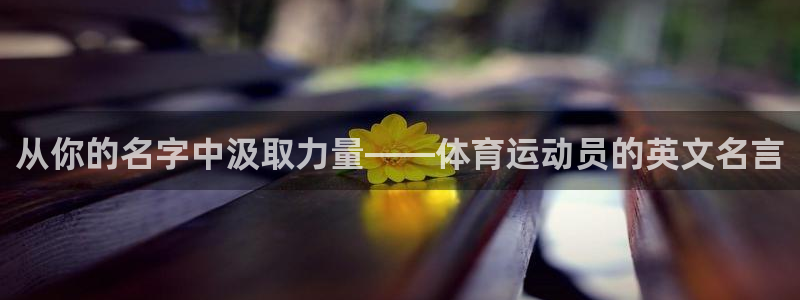 919体育直播官网：从你的名字中汲取力量——体育运动员的英文名言