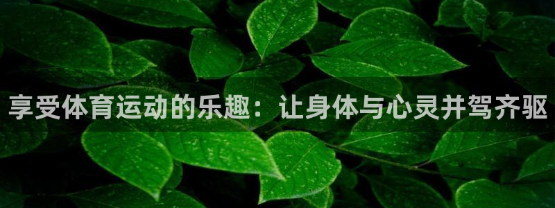 搜索 919体育：享受体育运动的乐趣：让身体与心灵并驾齐驱