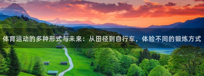 919体育有没有网盘：体育运动的多种形式与未来：从田径到自行车，体验不同的锻炼方式