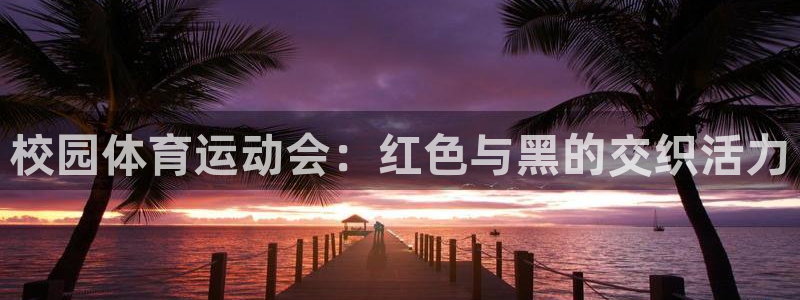 919体育场：校园体育运动会：红色与黑的交织活力